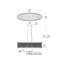 Clardy 6 - Light Chrome Crystal Pendant