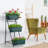 Nathanim Vertical Garden-158372676-158372679