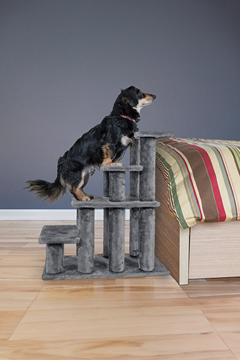 Pet Stairs