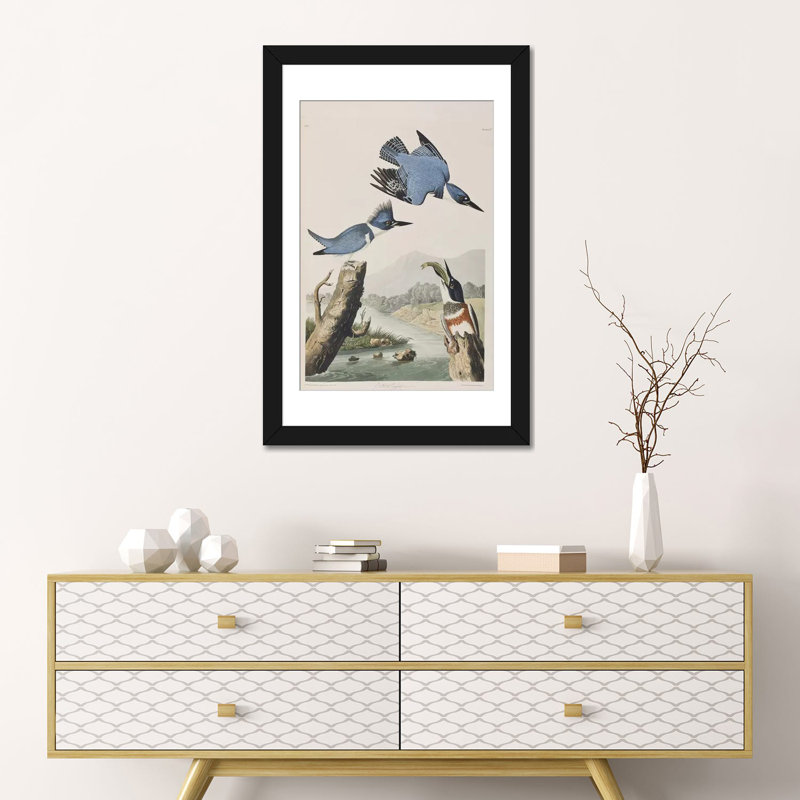 « belted kingfisher », impression sur toile, H 32 po x l 24 po x P 1 po, Papier d'art encadré noir, Blanc
