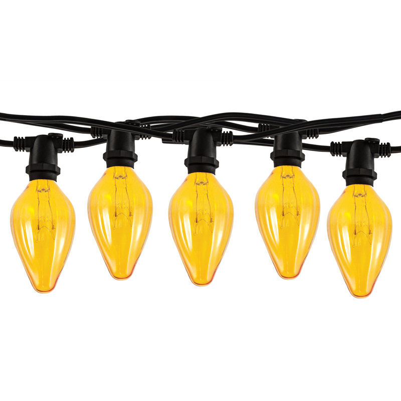 Adelene 14' Outdoor 10 - Bulb Standard Amber String Light (End to End Connectable)