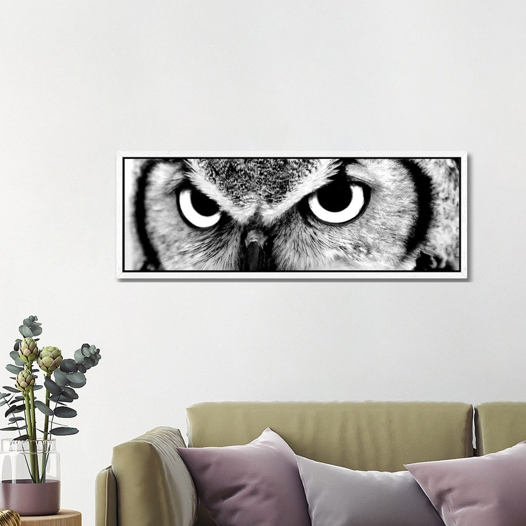 Owl Eyes von PhotoINC Studio - Floater Frame Panoramic Gallery-Wrapped Canvas Giclée on Canvas