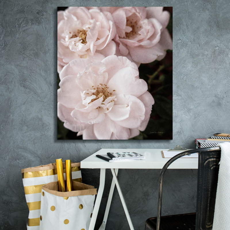 Toile épique Graffiti «Soft Pink Roses 2» par Debra Van Swearingen, 26 po x 30 po