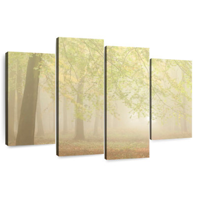 Alvord Forest Fog I
