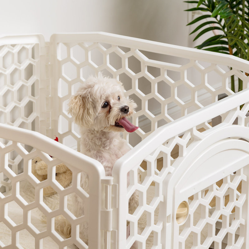 Parc pour chien IRIS, blanc, 24 po, 4 panneaux