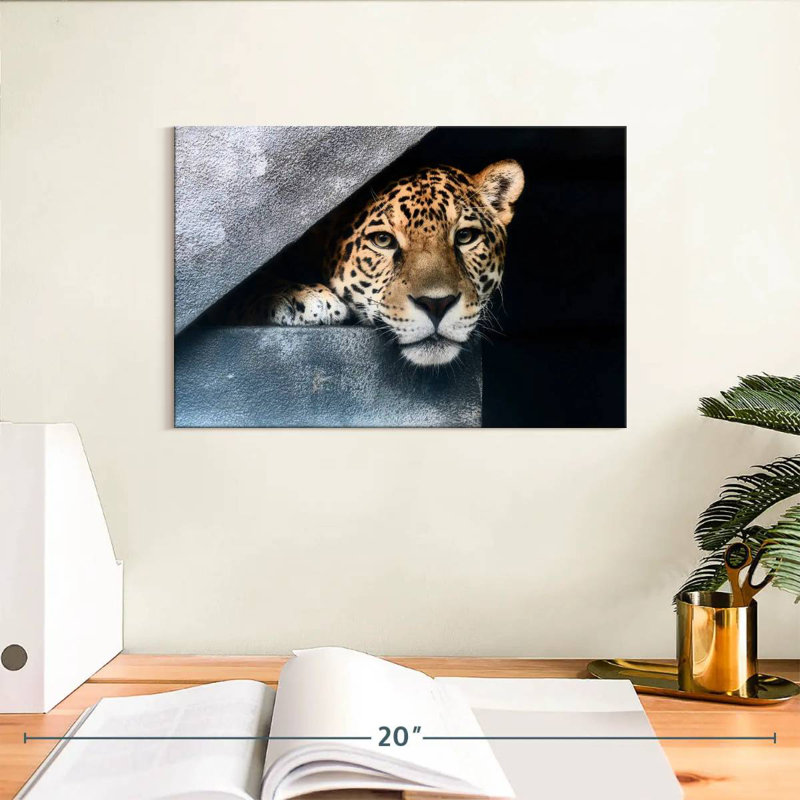 Brampt Peeking Jaguar, 8" H x 12" W