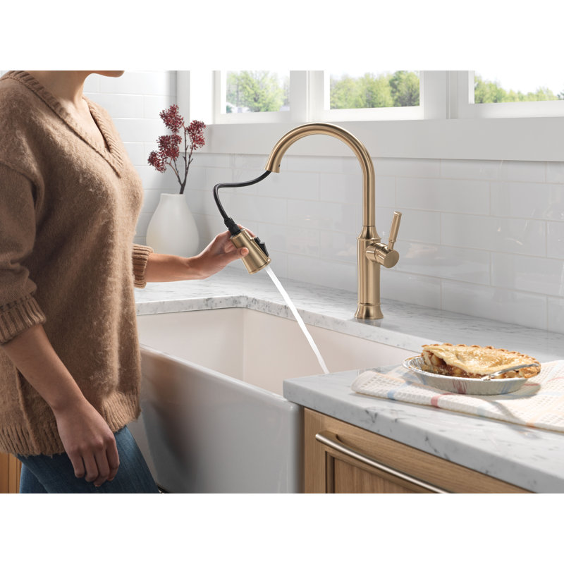 Robinet d'évier de cuisine à bec rétractable à poignée simple Delta Renaldi ProClean, Bronze champagne Lumicoat