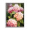 Hortensias roses en fleurs par Ziwei Li