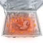 Small Animal Playpen