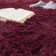 Taraval Performance Indoor Rug