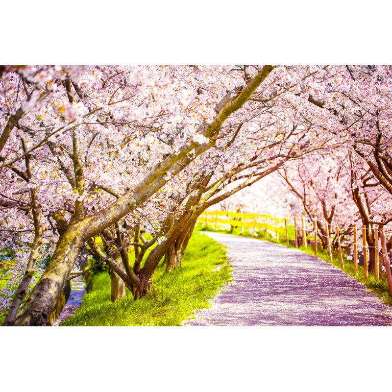 Lynnley Sakura Tree by Minianne - Wrapped Canvas Print, 30cm H x 46cm W