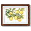 Ripe for Cueillette II - impression d'un seul cadre photo-1941780176-1941780177