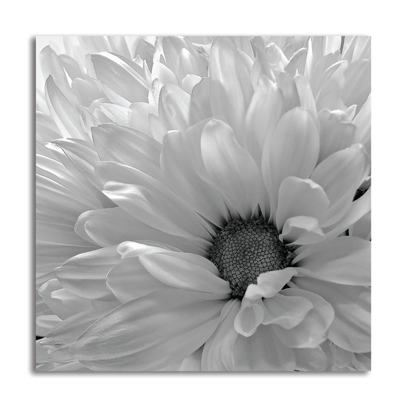 « fleuriing cascade i bw », reproduction de photo, H 24 po x l 24 po x P 0,01 po, Papier