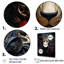 Golden Panther Majesty-1371777811-1371777837