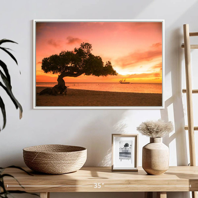 Divi Divi Tree Aruba, Floating Frame White, 25" X 17"