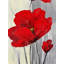 Fleurs rouges sur fond gris - art floral sur toile