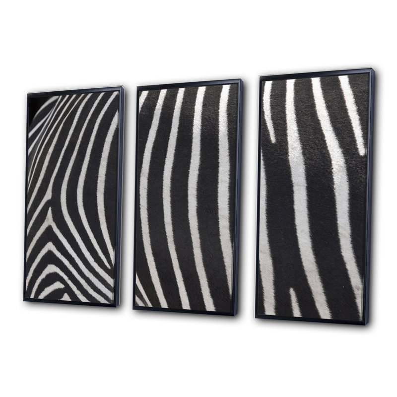 Détail de lignes de zèbre noires et blanches IV - ensemble transitionnel d'art mural sur toile encadré de 3