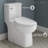 Classe One-Piece Toilet-63694534-44637969