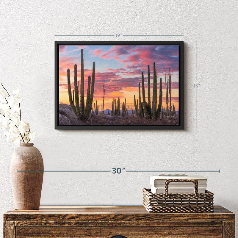 Nature «Art mural Baja California Sunrise», H 13 po x l 19 po