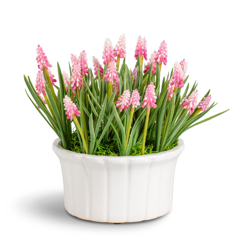 Remy Hyacinth Arrangement, Blush