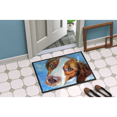 Non-Slip Outdoor Doormat