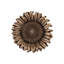 Sunflower Cabinet Knob-27118638