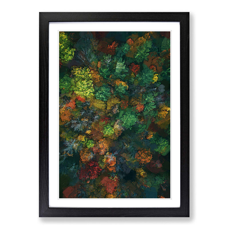 Autumn Forest New Hampshire in Abstract - Picture Frame Graphic Art Print, 36cm H x 27cm W x 2cm D, Black Framed