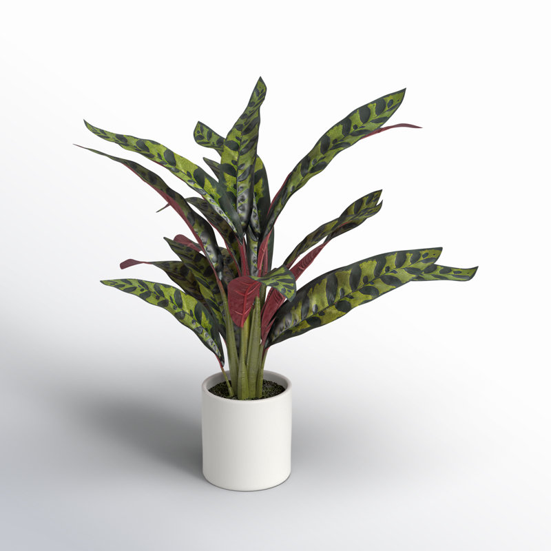 18.9'' Faux Calathea Plant in Ceramic Pot
