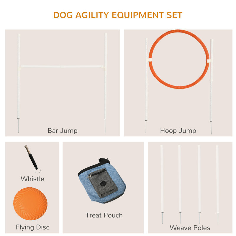 PawHut Plastic Outdoor Kids Game with Carrying Case