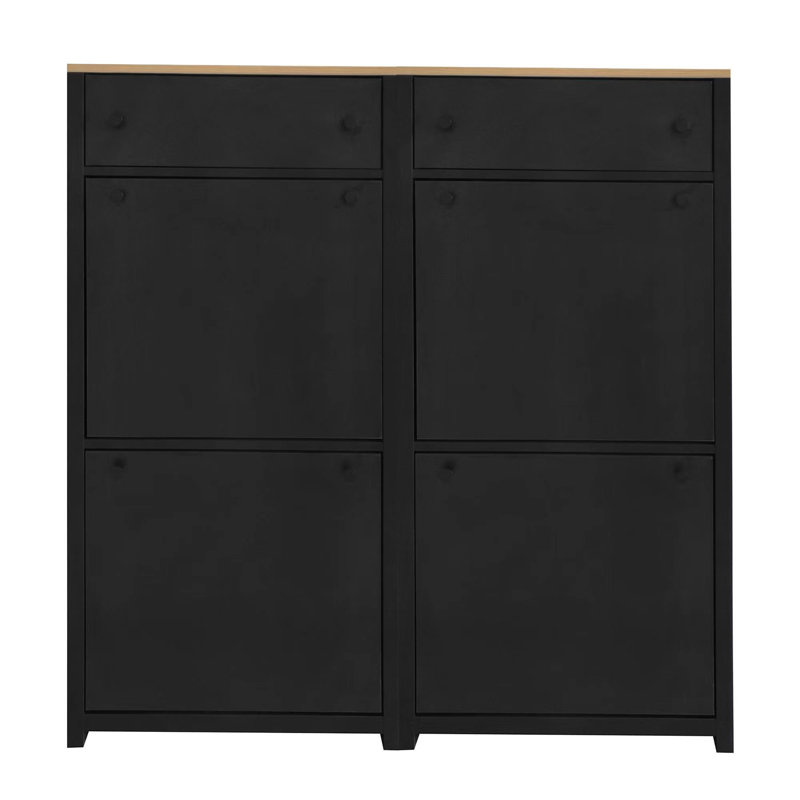 Ensemble d'armoire à chaussures avec 4 tiroirs rabattables, Noir