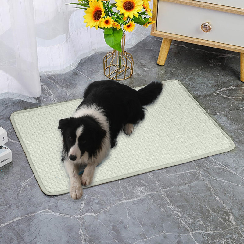 Tapis de refroidissement pour chien Summer Cool, H 23,6 po x l 31,5 po x P 0,93 po, Vert