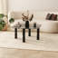 Glorias Coffee Table-106668552