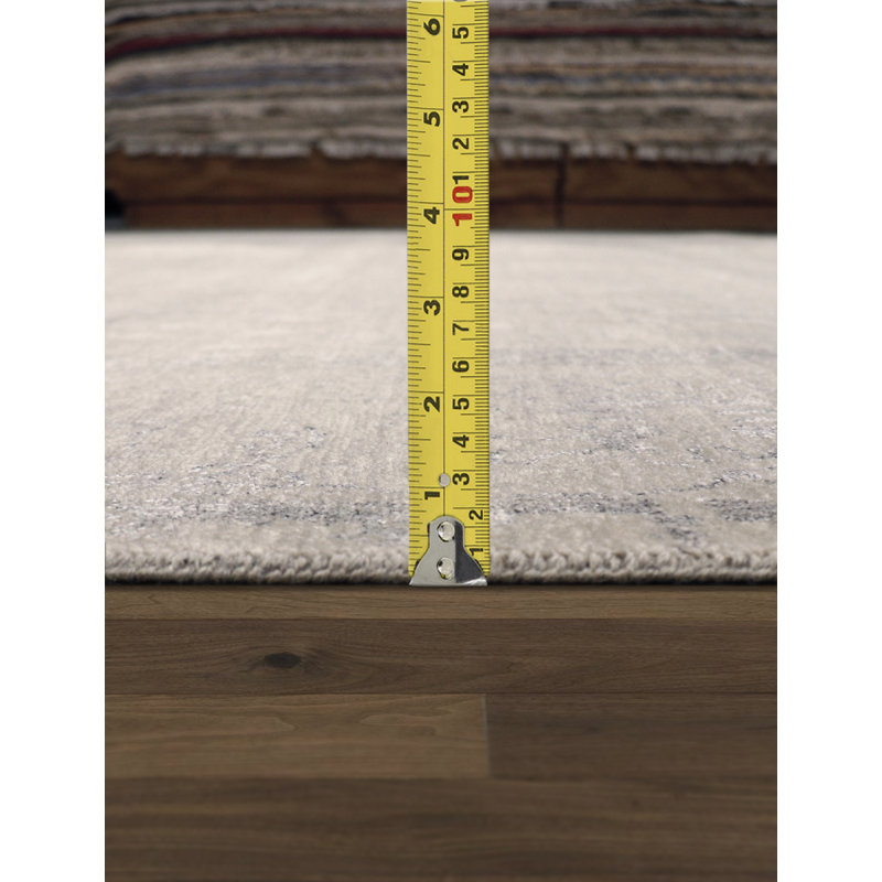 Transitional Silver/Gray Area Rug
