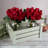 Rose Artificial Flowers - 24Pc Real Touch 11.5-Inch Fake Flower Set with Stems-230600276