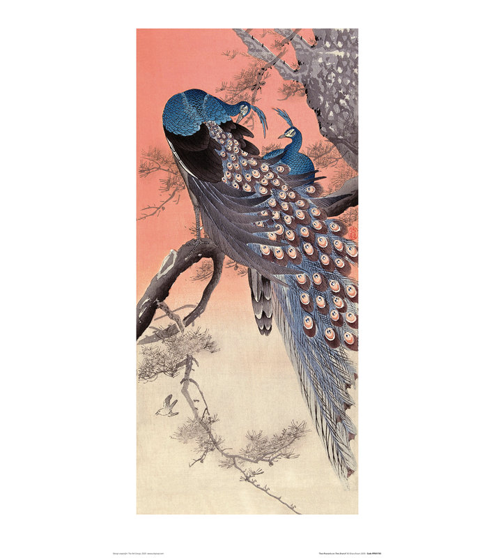 Two Peacocks On Tree Branch by Ohara Koson - No Frame Print, 60cm H x 30cm W x 0.1cm D