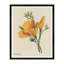 Yellow Petals Print