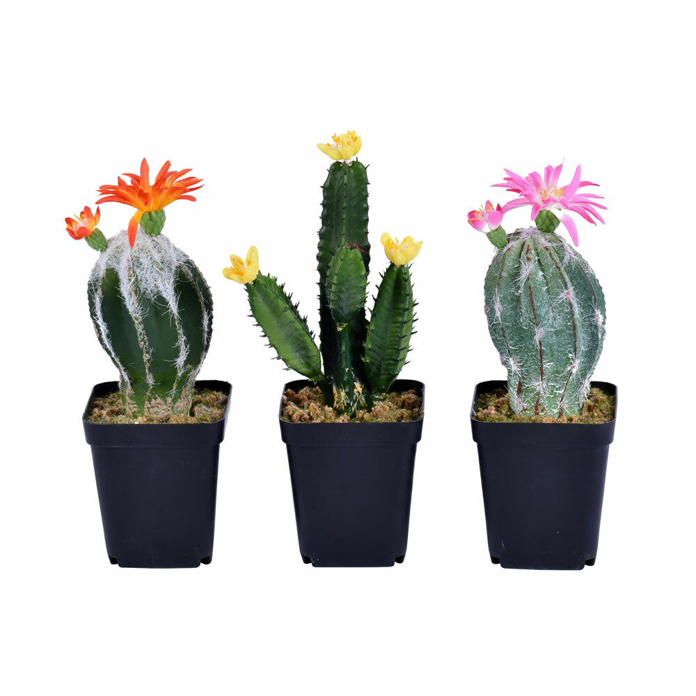 Primrue 8'' Faux Cactus Plant in Planter | Wayfair