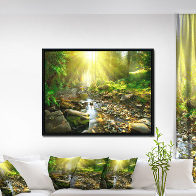 «Mountain Stream in Forest», reproduction de photo sur toile