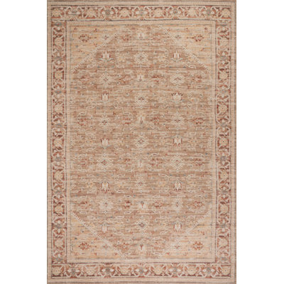 Nysera Traditional Bordered Area Rug