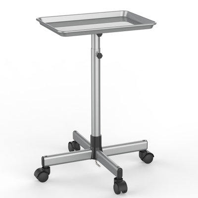 Chariot utilitaire à roulettes H 42 po x l 18 po