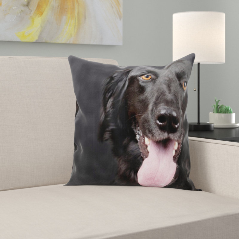 Coussin pour chien