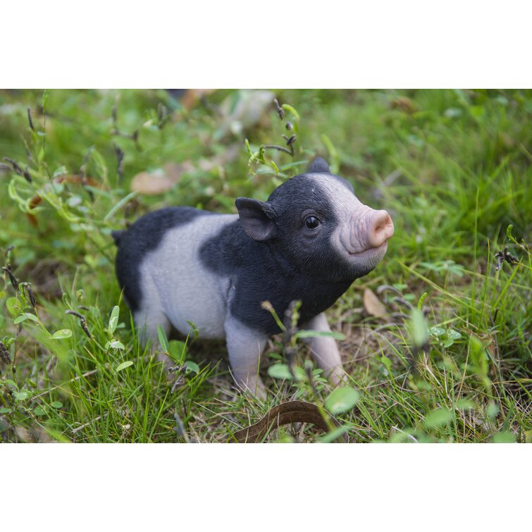 Cute Piggy Sleeping, Fairy Garden, Mini Pig, Miniature Pig, Tiny Pig