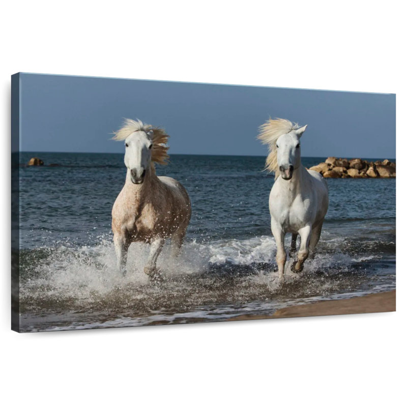 Chevaux de Camargue blancs qui courent sur la plage I, H 16 po x l 24 po