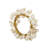 Napkin Ring Collection Napkin Ring