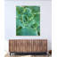 Succulent Center 3 Print by Joe Ruggiero