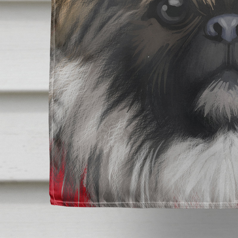 Polyester à 2 côtés 28 x 40 po drapeau maison, Chien chinois à crête