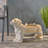 MGO DOG BENCH, Outdoor Bench, Light Brown, No Assembly Required-39788829