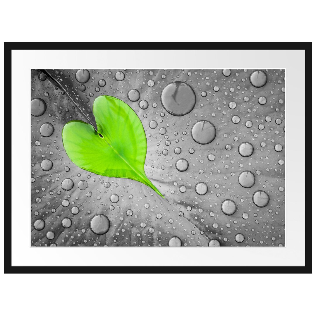 Gerahmtes Poster Dewdrop Heart