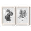 B and W d'intérieur plante III - ensemble de 2 reproductions d'art-1074236538-1090212907-1090214441