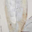 No Frame Painting on Wood